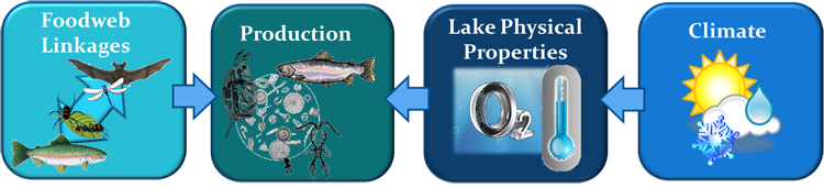 Castle Lake Conceptual model_simplified